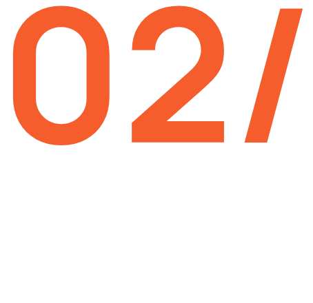 Multi- Page Website